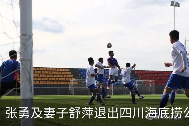 张勇及妻子舒萍退出四川海底捞公司董事会，控制权未变